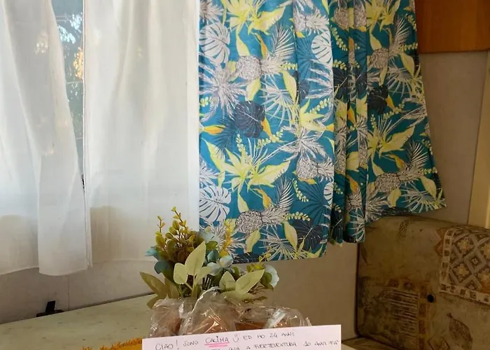 Calima Glamping 럭셔리텐트 *