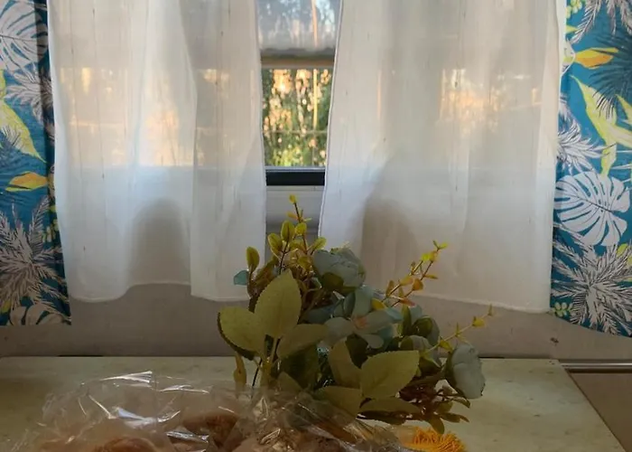 Luxury tent Calima Glamping Tefia